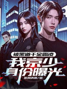 我京少身份曝光动画