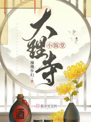 大理寺小饭堂百度