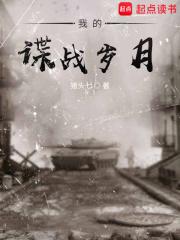 我的谍战岁月完整版免费阅读