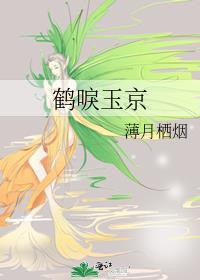 鹤唳玉京txt百度资源