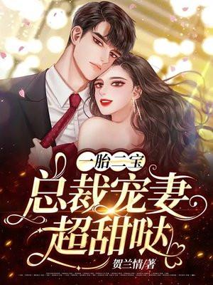 一胎两宝总裁宠妻套路深