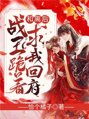 和离后战王跪着求我回府苏侧妃的结局
