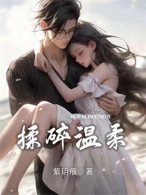 揉碎温柔简介