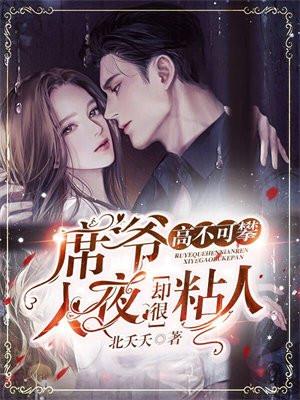 入夜却很粘人txt免费阅读