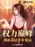 权力巅峰主角经历