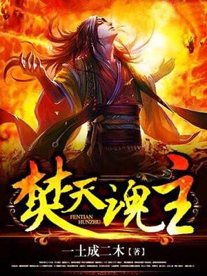 焚天魂主免费阅读