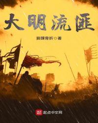 大明流匪TXT资源