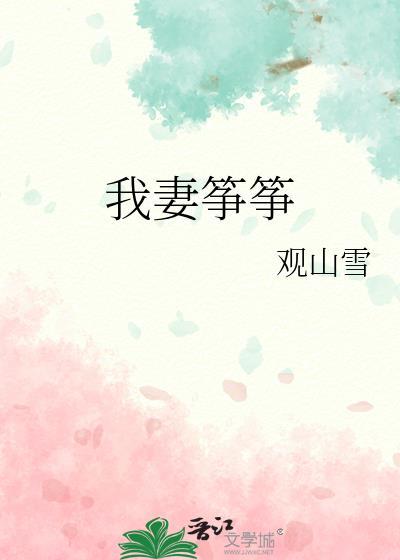 我妻筝筝TXT