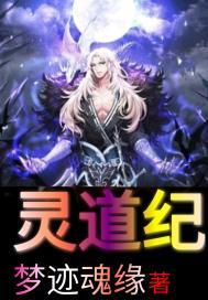 灵道纪讲的是什么故事