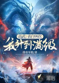 我升到满级txt
