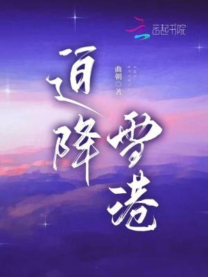 迫降雪港无错版 迫降雪港无错版