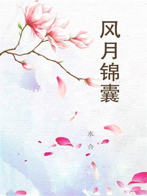 风月锦囊电视剧剧情介绍