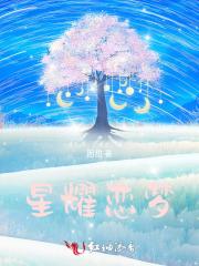 星耀dj