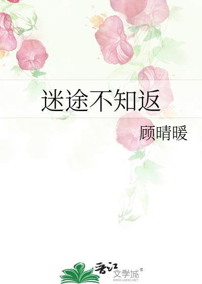 迷途不知返哔哩哔哩17