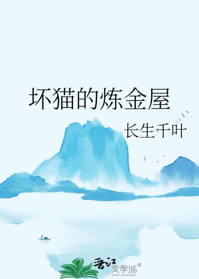 坏猫解说