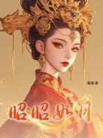 昭昭如日月h