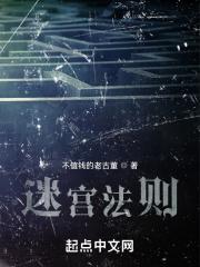 迷宫法则怎么