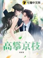 高攀京枝免费阅读