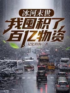 冰河末世我囤积了百亿物资等级有几种
