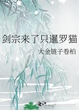 剑宗来了只暹罗猫by大金链子txt