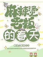麻辣烫老板的春天讲的什么