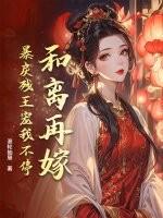 和离妻再嫁记