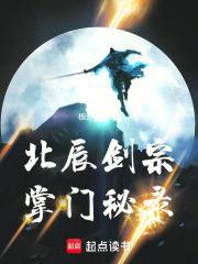 北辰剑宗掌门秘录好看吗