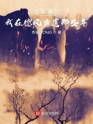 苦境我在德风古道那些年境界划分