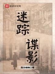 迷踪谍影笔趣阁txt