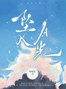 坠入月光TXT电子书
