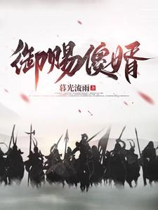 御赐傻婿高清免费播放