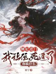 侧妃推荐
