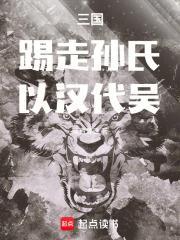 三国踢走孙氏以汉代吴免费阅读