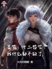 灵笼十二符咒?我什么都不缺了电子书