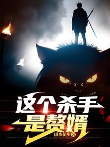 这个杀手是赘婿TXT免费 这个杀手是赘婿TXT免费