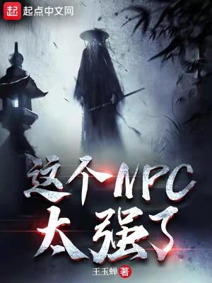这个npc果然有