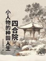 四合院系列完本