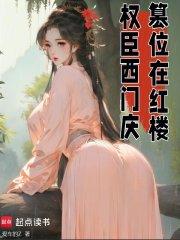 篡位在红楼起点中文网