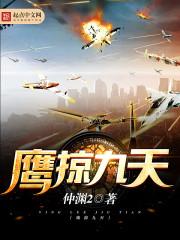 猎鹰空战