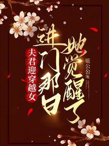 夫君乃穿越人士格格党