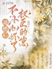 退婚后不小心怀了权臣的崽全文免费阅读