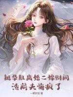 偶遇挺着孕肚要出国的前妻的