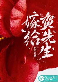 嫁给霍先生