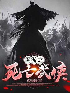 网游之死亡武侠夜眸藏锋
