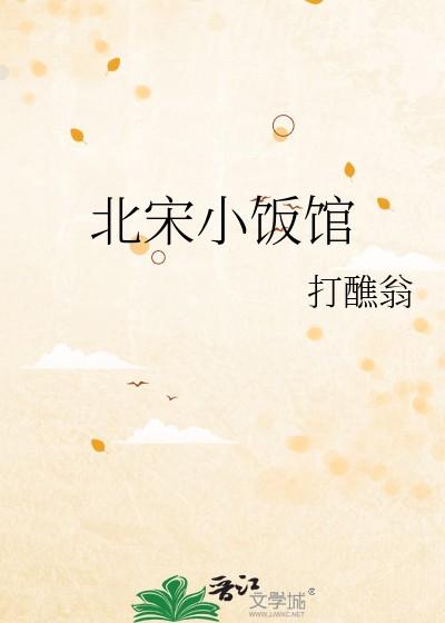 北宋小饭馆TXT百度