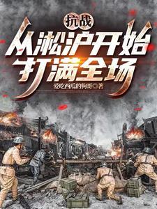 抗战之淞沪会战系统