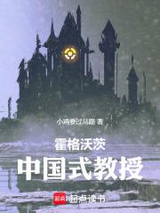 霍格沃茨中国式教授
