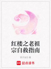 红楼之老祖宗驾到19楼 红楼之老祖宗驾到19楼