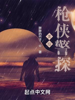 美综枪侠警探 无弹窗