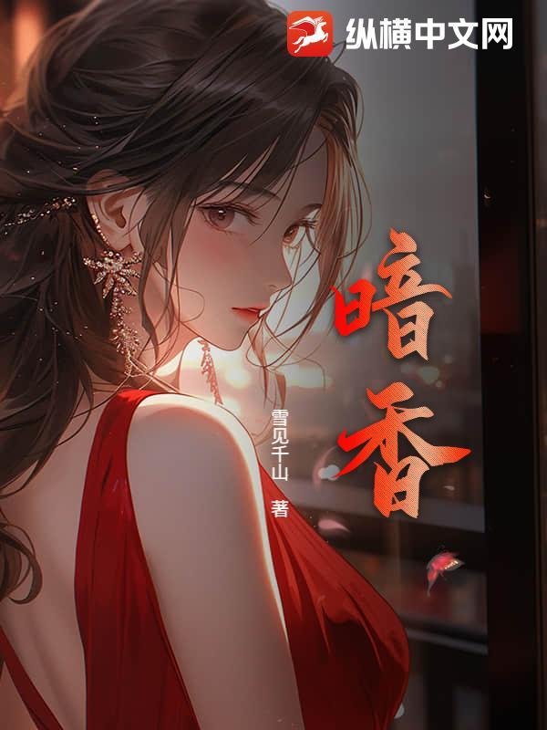 暗香软件安装